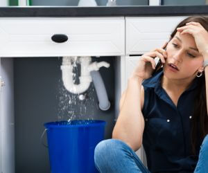 About Septic Pumping Service Palmyra, MI